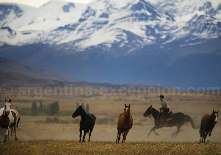 Gaucho au travail, estancia La Anita Gaucho au travail, estancia La Anita