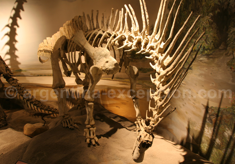 Dinosaure Amargasaurus Dinosaure Amargasaurus