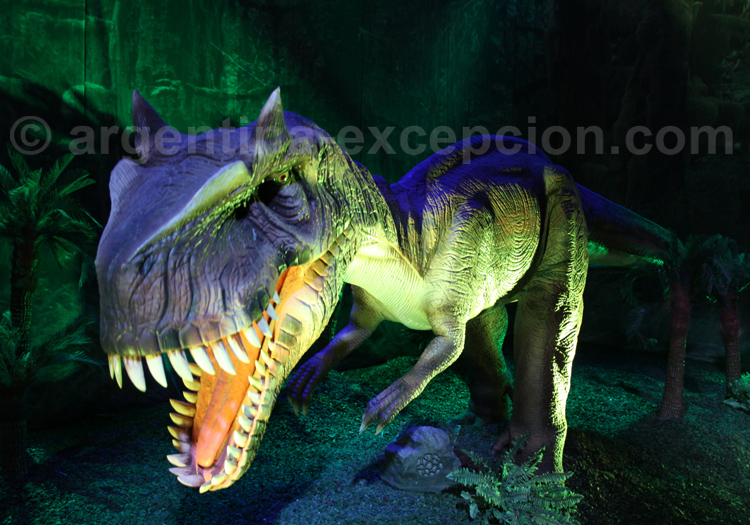 Dinausaure, exposition à Buenos Aires Dinausaure, exposition à Buenos Aires