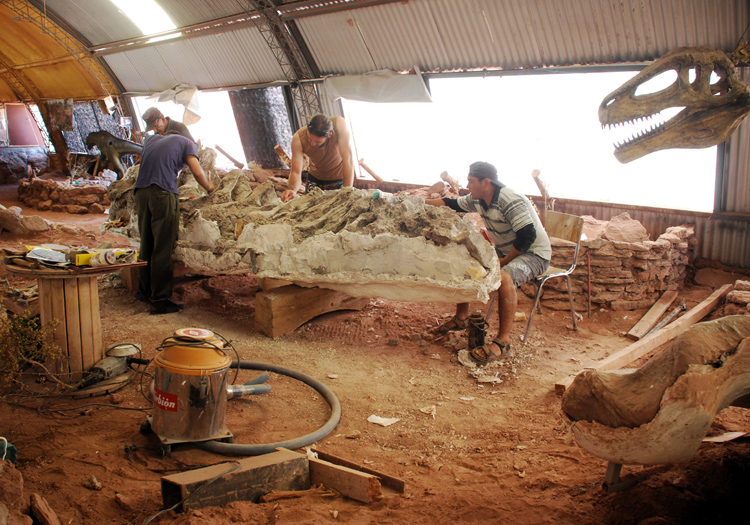 Futalognkosaurus Dukei - CC Flickr Simona Cerrato Futalognkosaurus Dukei - CC Flickr Simona Cerrato