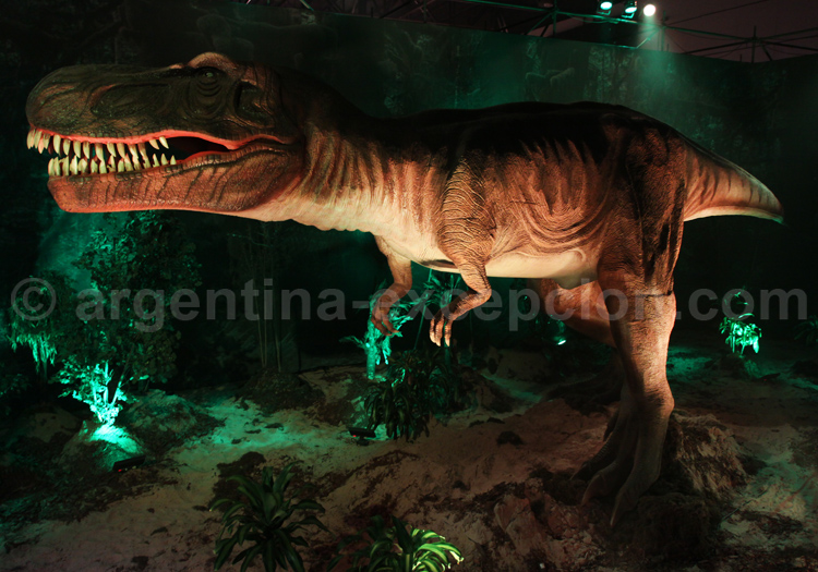 Dinosaure Giganotosaurus Dinosaure Giganotosaurus