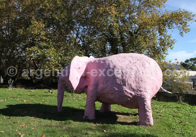 Santé en Argentine Santé en Argentine