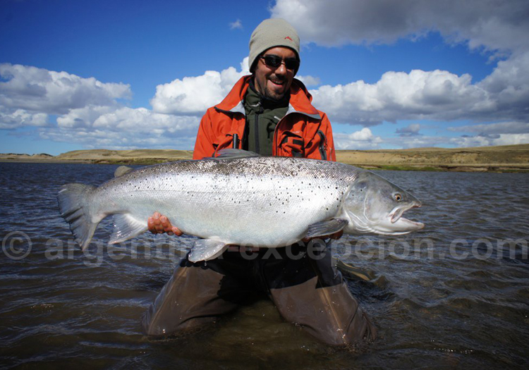Saumon royal, pêche en Terre de Feu Saumon royal, pêche en Terre de Feu