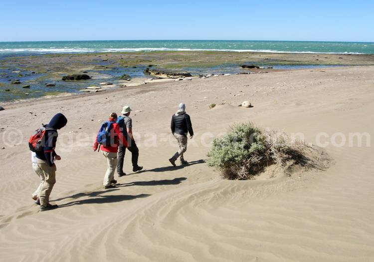 Excursion faune avec guide, Patagonie Excursion faune avec guide, Patagonie