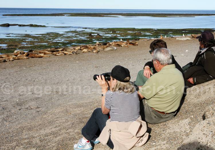 Connexions électricité et Internet en Argentine Connexions électricité et Internet en Argentine