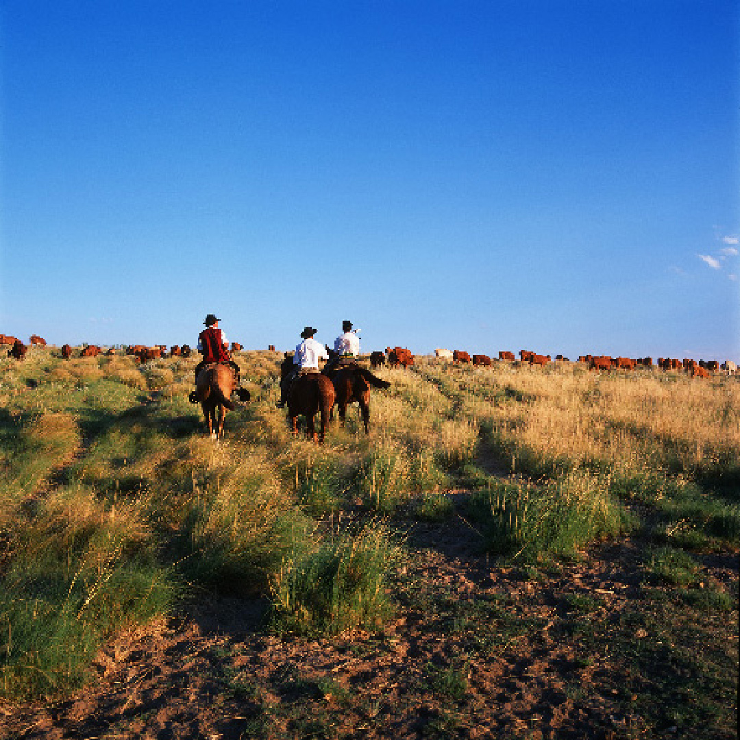 PROVINCE BUENOS AIRES zoomer un peu