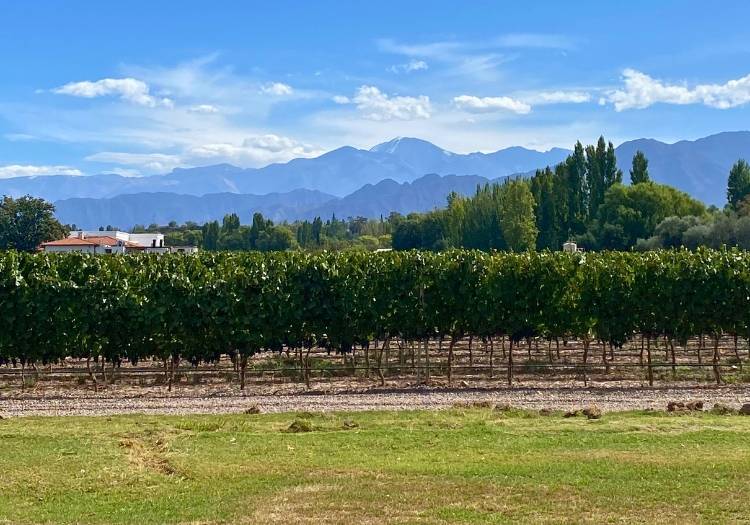 À la Une - Mag Mendoza