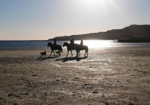 Balade à cheval sur la plage de l'hôtel Las Restingas en Argentine Balade à cheval sur la plage de l'hôtel Las Restingas en Argentine