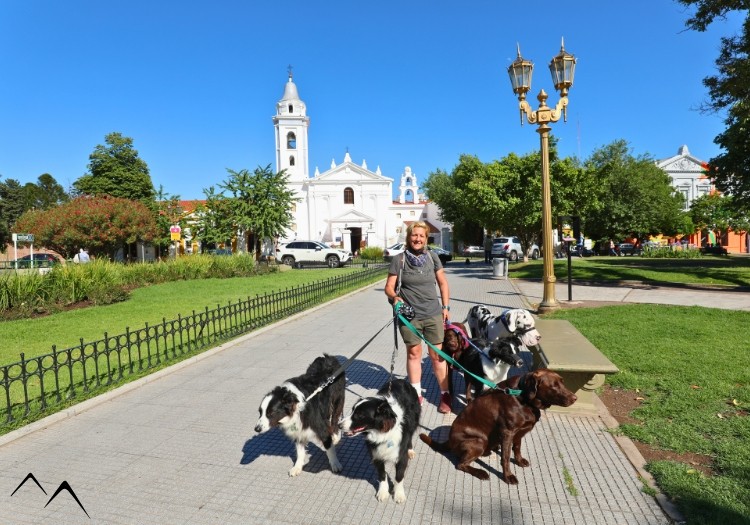 Promeneuse de chiens Promeneuse de chiens
