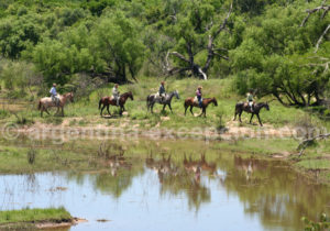 Cabalgatas, Estancia Buena Vista, Corrientes