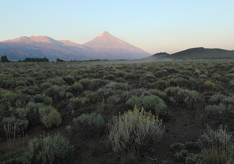 Parc Lanín Parc Lanín
