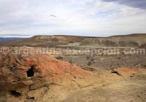 3-bosque-petrificado-sarmiento Forêt Pétrifiée de Sarmiento