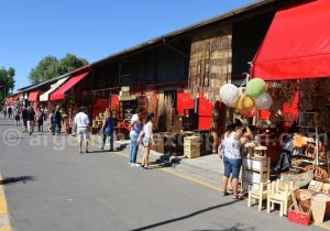 Marché artisanal de Puerto de Frutos à Tigre