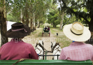 Promenade en calèche, Estancia Buena Vista