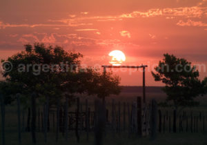 Soleil levant, Estancia Buna Vista, province de Corrientes