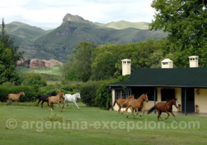 Hotel Dos Lunas Hotel Dos Lunas
