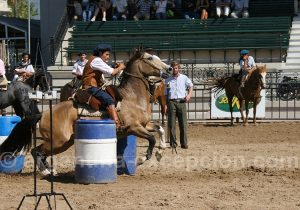 Spectacle équestre, Nuestros Caballos Spectacle équestre, Nuestros Caballos