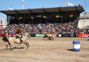 Course de chevaux criollos, La Rural Course de chevaux criollos, La Rural