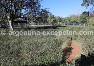 6-2 Labyrinthe Végétal, Ville de Montecarlo