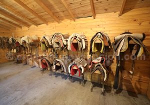 Arroyo Verde Arroyo Verde