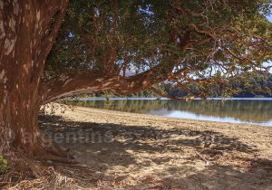 Los Arrayanes Villa la Angostura