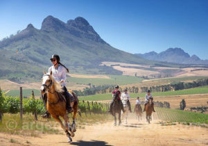 Los Potretos Los Potretos