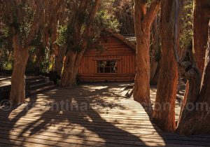 Parc Los Arrayanes Patagonie