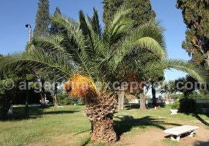 Parc Sarmiento, Cordoba Parc Sarmiento, Cordoba