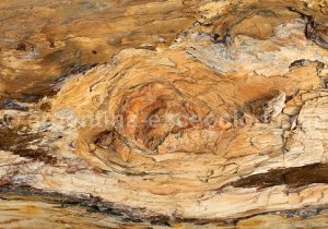 7-bosque-petrificado-sarmiento Forêt Pétrifiée de Sarmiento