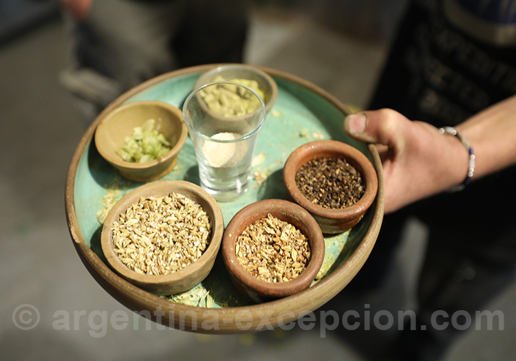 Les composants de la bière