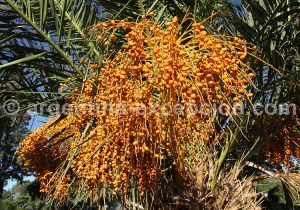 Parc Sarmiento, Cordoba Parc Sarmiento, Cordoba