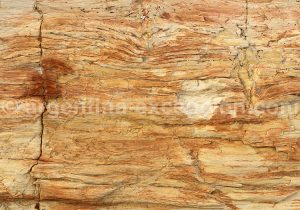 8-bosque-petrificado-sarmiento Forêt Pétrifiée de Sarmiento