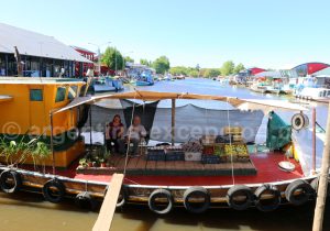 Marché artisanal de Puerto de Frutos à Tigre