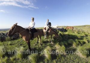 Hotel Dos Lunas Hotel Dos Lunas