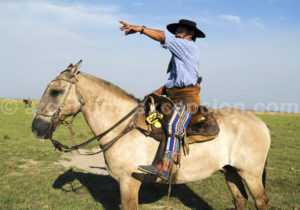 Un gaucho sur sa monture, Estancia Buena Vista