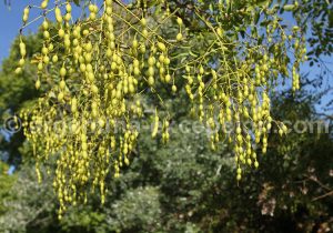 Parc Sarmiento, Cordoba Parc Sarmiento, Cordoba