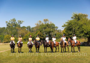 Los Potretos Los Potretos