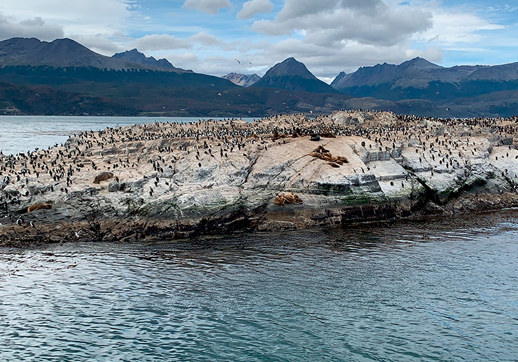 À la Une - Excursion nautique sur le canal de Beagle À la Une - Excursion nautique sur le canal de Beagle