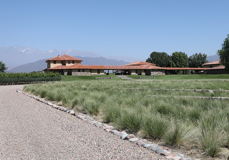 Bodega Decero Bodega Decero