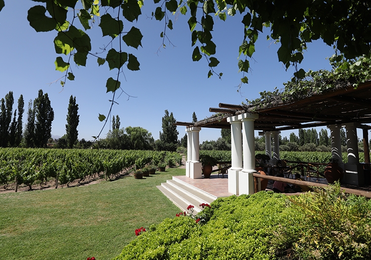 Bodega Nieto Senetiner Bodega Nieto Senetiner