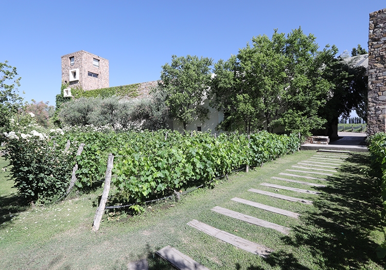 Bodega Renacer Bodega Renacer