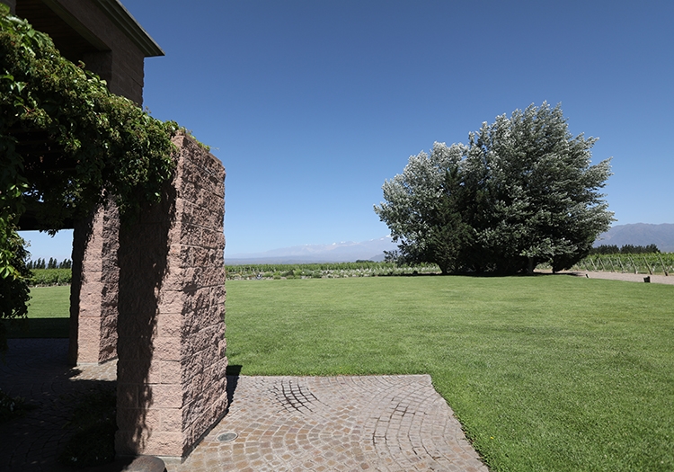 Bodega Ruca Malen Bodega Ruca Malen