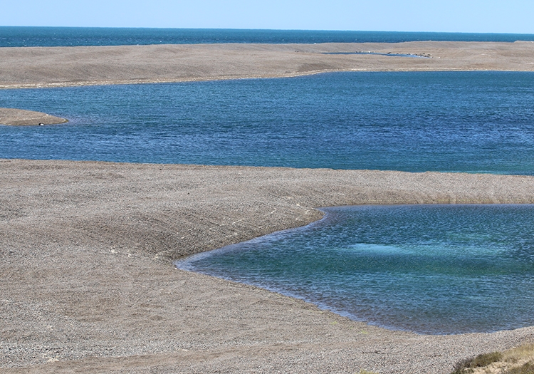 Caleta Valdès Caleta Valdès