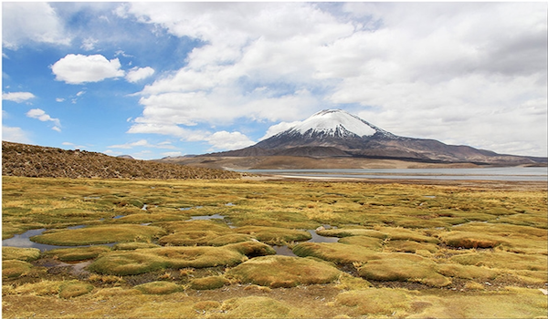 Crédit: https://www.carnetsdameriquesetdailleurs.fr/crbst_125.html