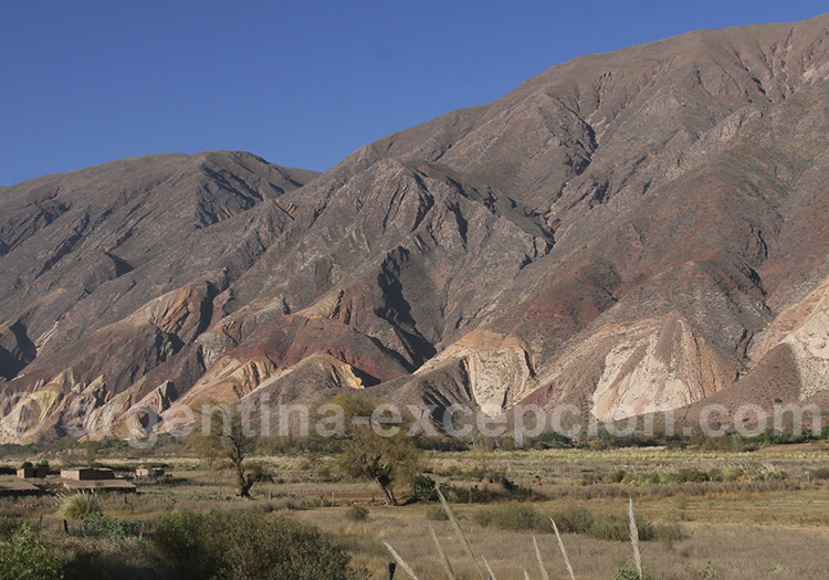 Caravane de Lamas à la Palette du Peintre Caravane de Lamas à la Palette du Peintre