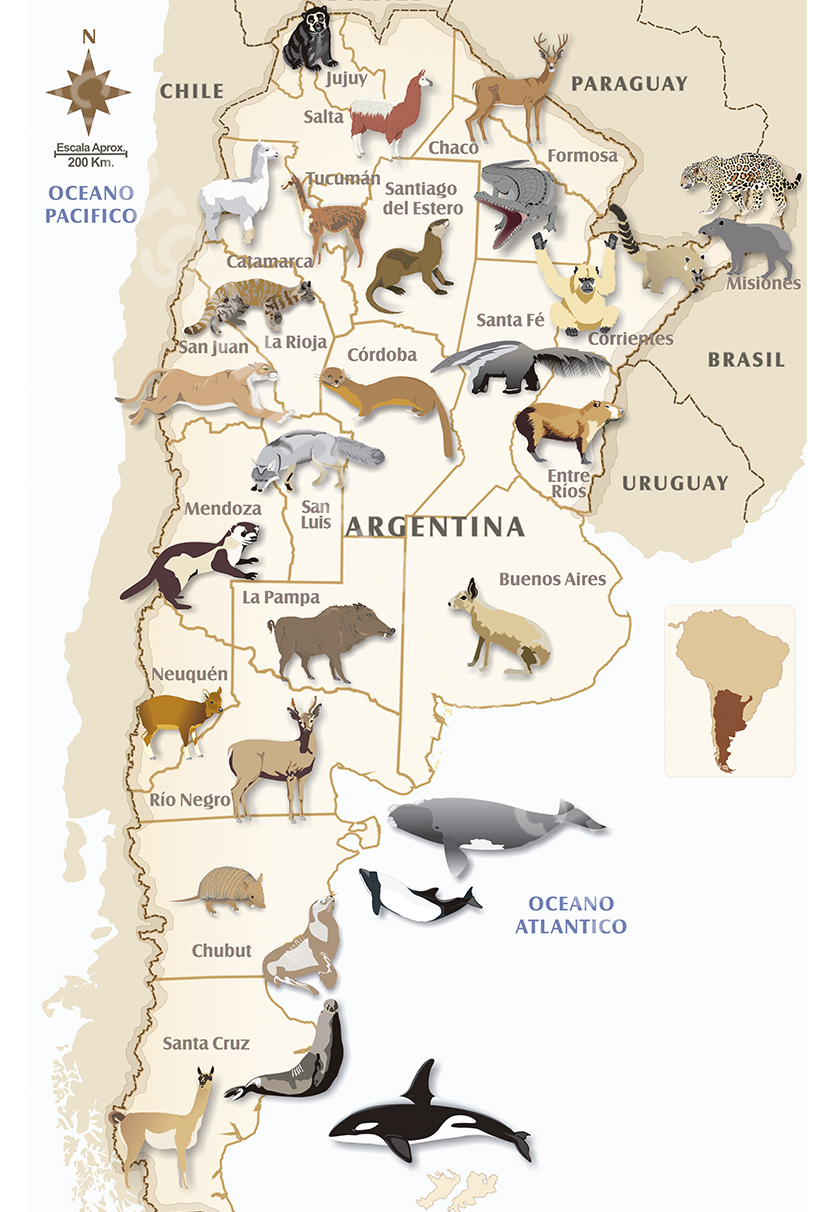 Carte faune argentine