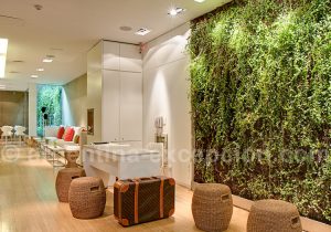 Casa_Calma_Lobby-3 Casa Calma, Lobby