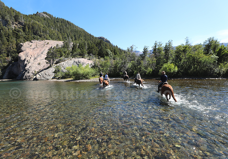 Cheval à l'estancia Arroyo verde Cheval à l'estancia Arroyo verde