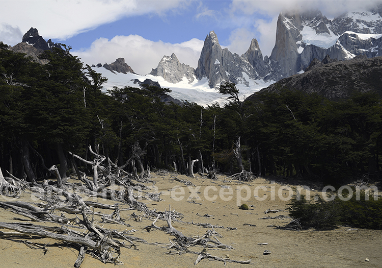 Climat dans le Fitz Roy Climat dans le Fitz Roy