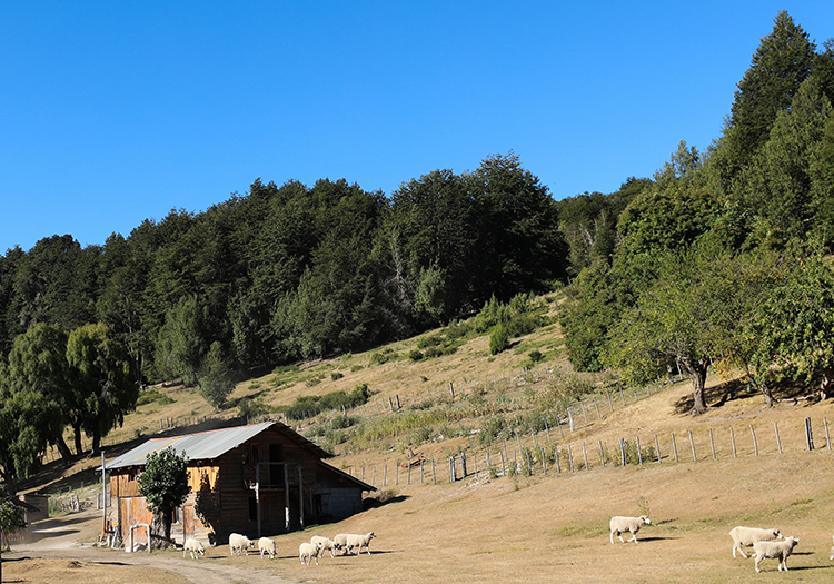 Couv 3 Autotour en Patagonie des Lacs Couv 3 Autotour en Patagonie des Lacs